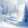 Clean Snowy Forest Landscape